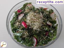 Salad with spinach and alfalfa