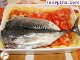 Roasted mackerel on vegetable bed