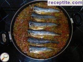 Mackerel with peppers in tomato sauce