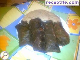 Vine vegan dolmas - Oriental