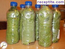 Vine leaves in bottles (not sterilized)