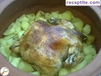 Spring roast chicken in a pot